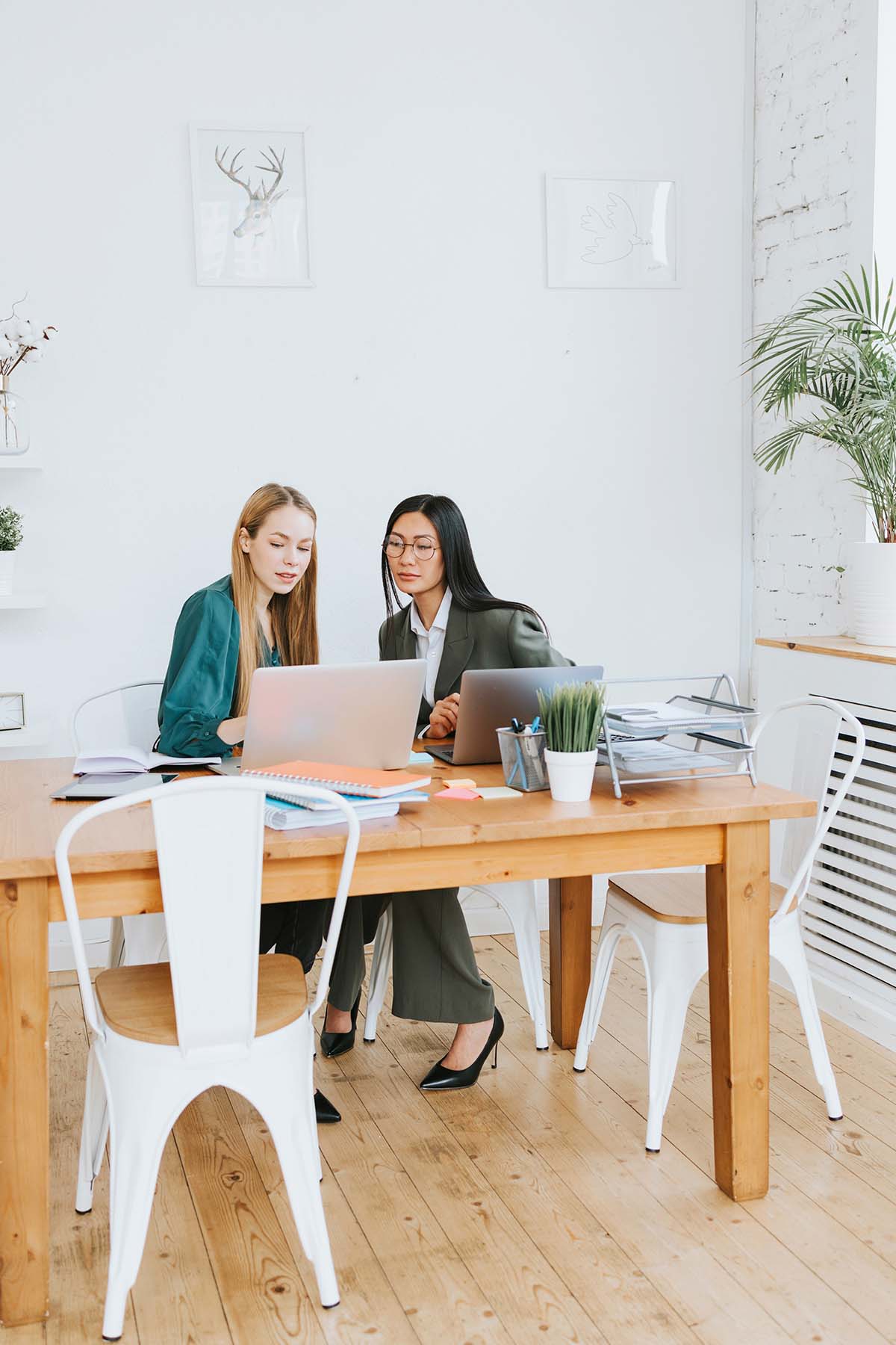 two-young-business-women-professionals-in-formal-w1-LGZUQA7.jpg
